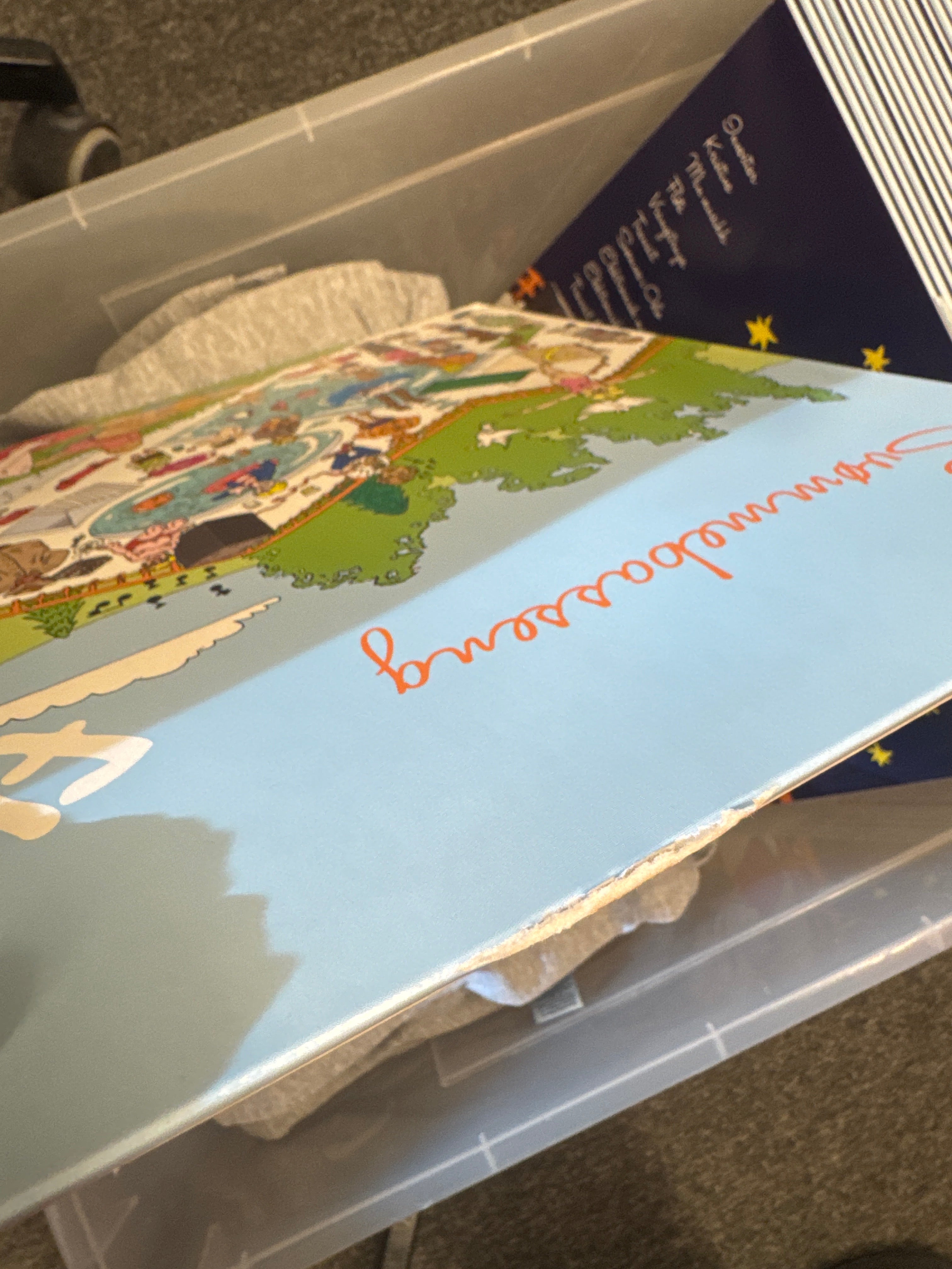 Vinyl - Fløte (ØDELAGTE COVER)