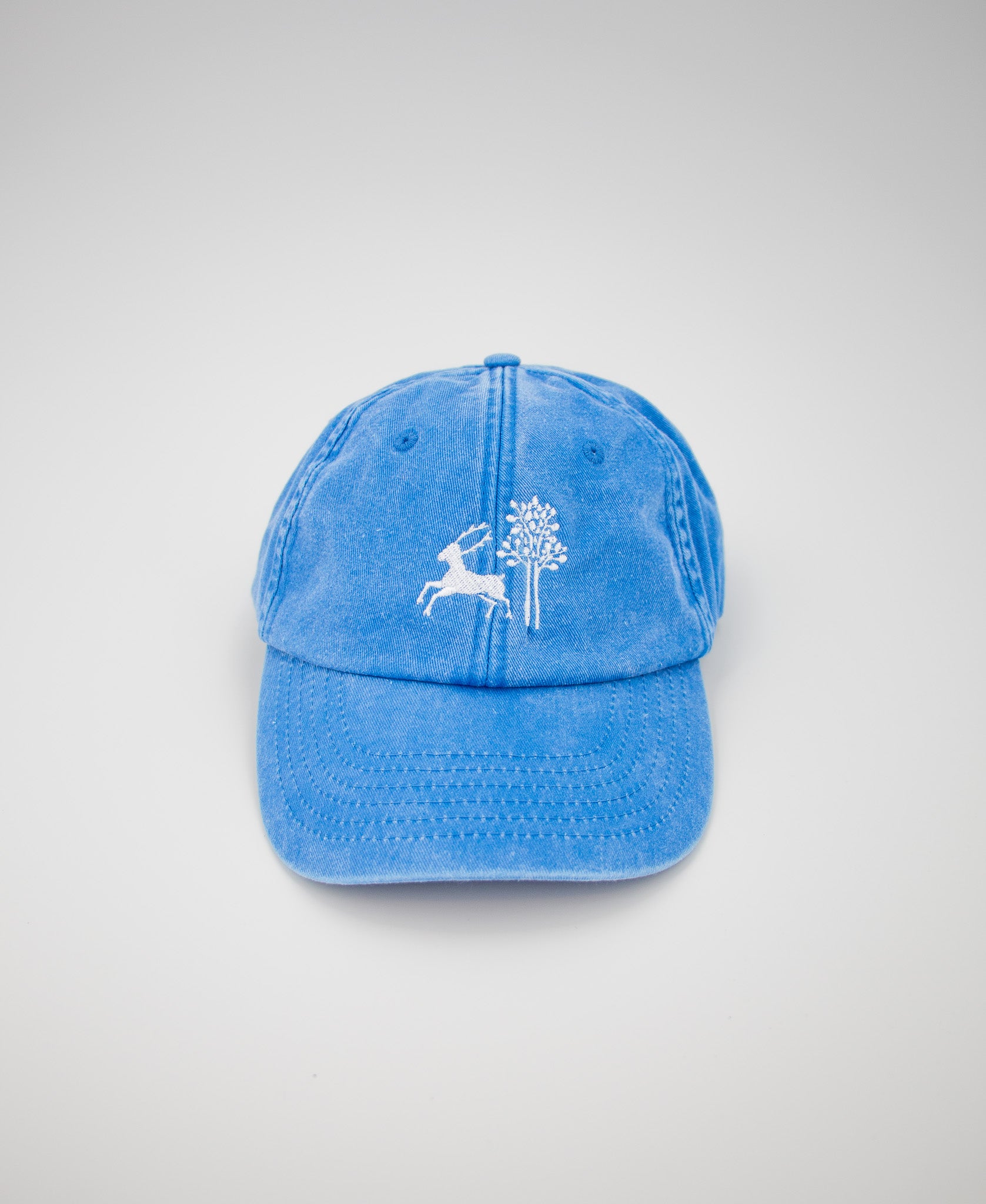 BLÅ VINTAGE CAPS - FAY